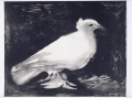 Paloma pájaro blanco y negro Picasso